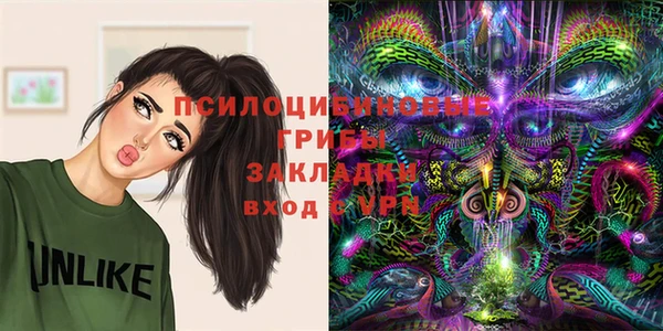 apvp Вязники